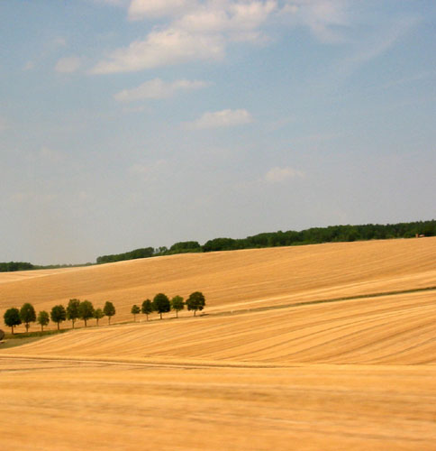 Campagne au sud de Paris en juillet